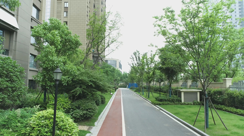 ϲѶ�����ż����ٻ������ʡ���蹤�̡���ɽ������